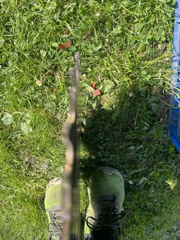 Hanibal 60 cm - 2