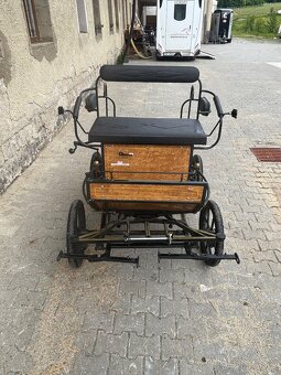 Wagoneta pony - 2
