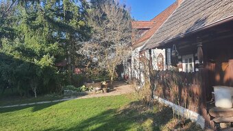 Roubena nemovitost pozemek 5 000 m2 NA DOŽITÍ - 2