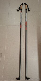 Běžkařské hůlky Arcore Omega Nordic, 140 cm - 2