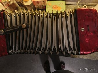 Harmonika akordeon delicia - 2