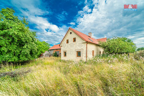 Prodej zemědělské usedlosti, pozemek 55656m2, v Plané - 2