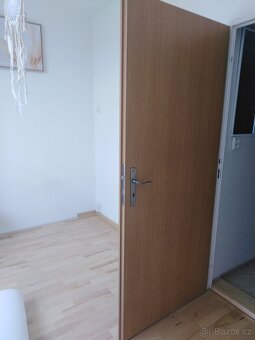 Dveře interiérové levé - 2
