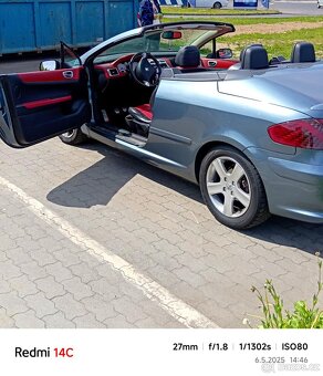 Cabriolet 307 - 2
