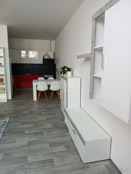 Pronájem velkého bytu 1+kk - 2