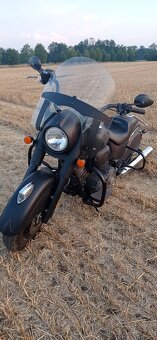 Indian chief vintage - 2