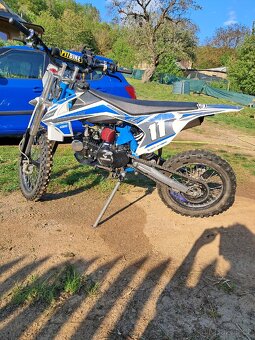Pitbike Shark 125 - 2