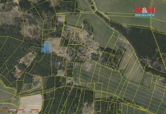 Prodej lesa, 11506 m², Milejovice - 2