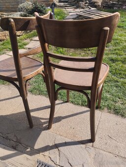 Židle Thonet - 2