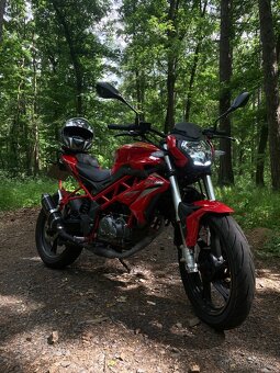 Benneli bn 125 ( 2021 ) - 2