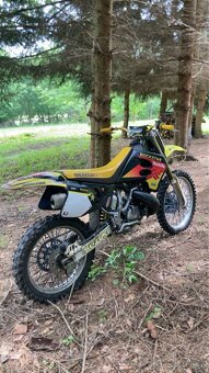 Suzuki RM 250 - 2
