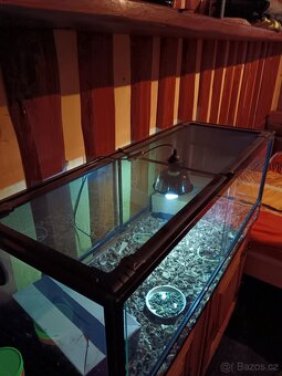 Prodám Terarium - 2