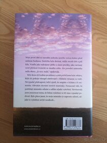 Štěstí a křivolaká cesta k němu - 2