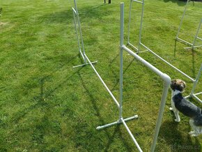 Skočky na agility - 2