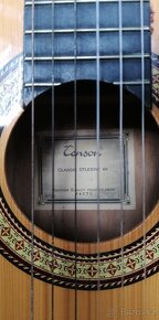 Akustická kytara TENSON - 2
