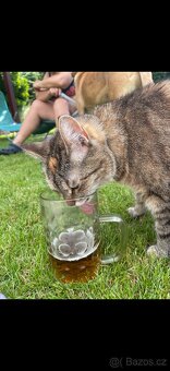 Darujeme Merlina a Meggie - 2