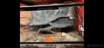 Terárium 60x40x30 s 3D stěnou - 2