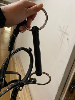 Hackamore - 2