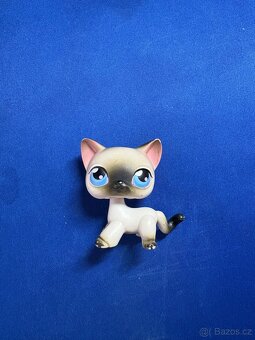 Littlest Pet Shop #5 Gray Siamese kočka - 2