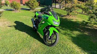 Ninja 250R - 2