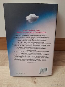 Šílené výčitky - Liane Moriarty - 2