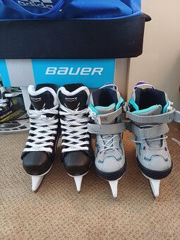 Bauer - 2