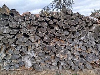 Palivové dřevo - 2