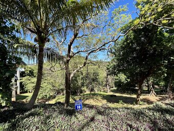 LOT 10 Bodden Bight Estate, Roatan - 2