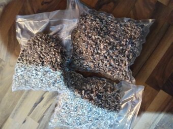 Loupané vlašské ořechy - 2