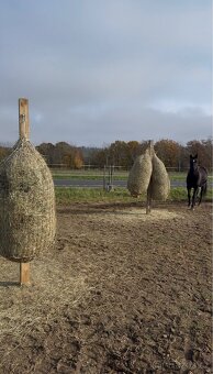 Trekové pastevní ustájení exit34 D1 - 2