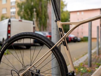 GT Grade Carbon Expert (55) - 2