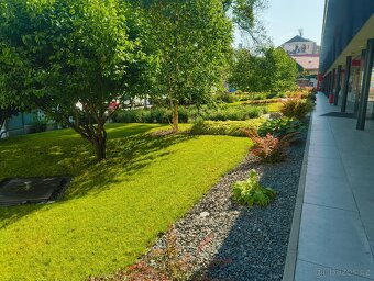 Zahradník, údržba a realizace zahrad a zeleně - 2