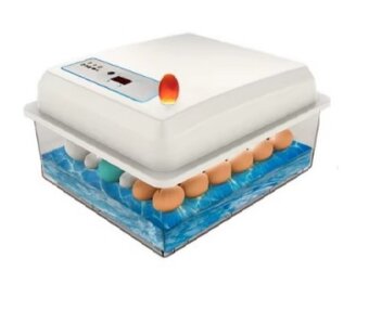 Inkubátor, líheň 20 slepičích vajec, na vodním lůžku - 2