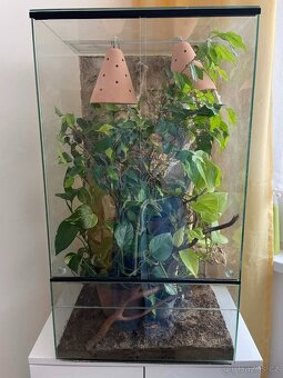 Terárium pro chameleona - 2