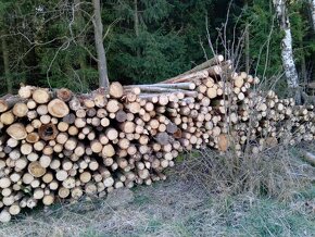 Palivové dřevo smrk, borovice 700 kč prostorový metr - 2