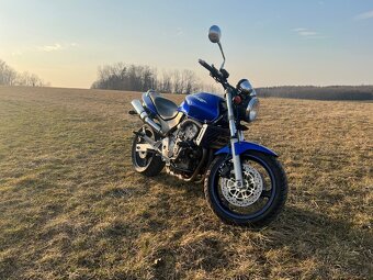 Honda Hornet CB600F - 2
