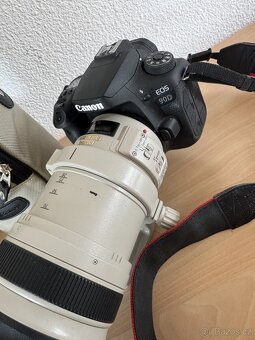 Canon 90D + EF 28-300 + další - 2