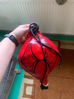 Boxerská Hruška - 2