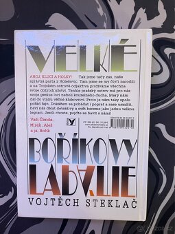 Velké Boříkovy lapálie – Vojtěch Steklač - 2