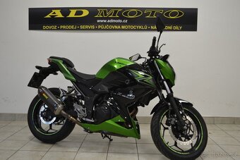 kawasaki z 300 - 2