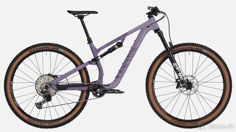 Canyon neuron 6 - 2