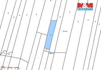 Prodej lesa, 4993 m², Jetětice - 2