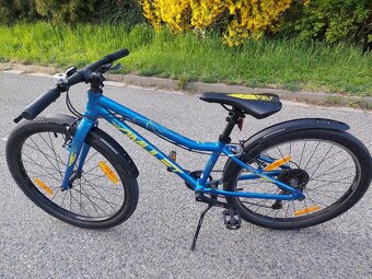 Amulet Tomcat 24" - 2