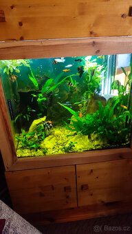 Akvarium - 2