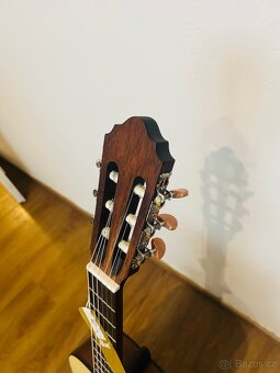 Cort AC-100 - 2