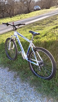 Prodám kolo Alpina eco m10 26" - 2