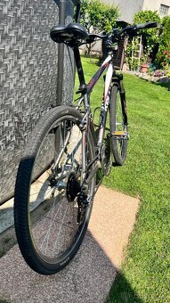 Kellys Cliff 50 - 2