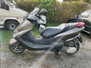 Dily Yamaha Majesty 125 - 2