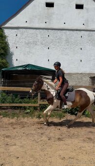 Valach aph x qh 2021 - 2