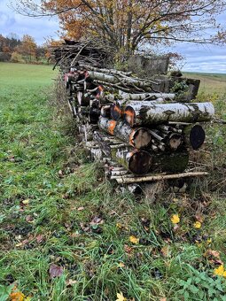Bříza, proschlé palivové dřevo 3m3. - 2